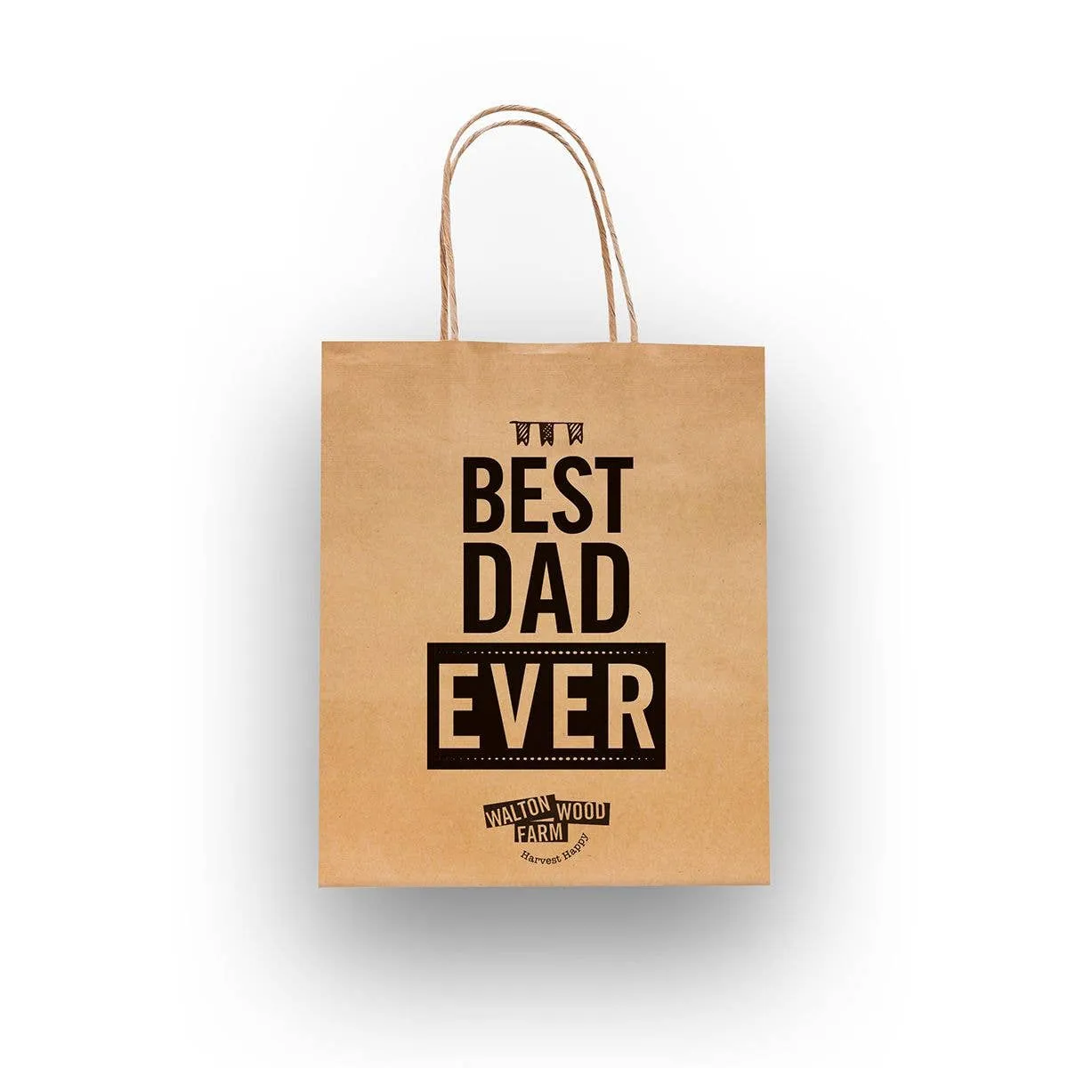 Gift Bag - Best Dad Ever