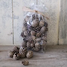 Pinecones in a Bag